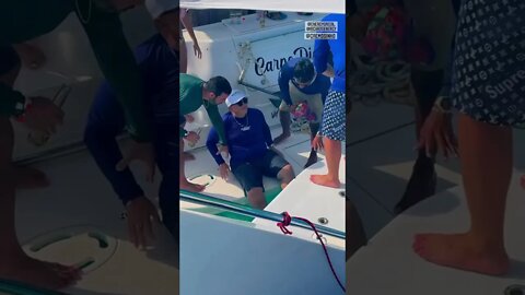 O Véio da Lancha Caiu Tirulipa viu #shorts
