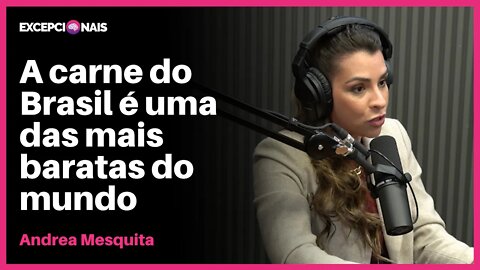 Desafios da Cadeia da Carne | Andrea Mesquita