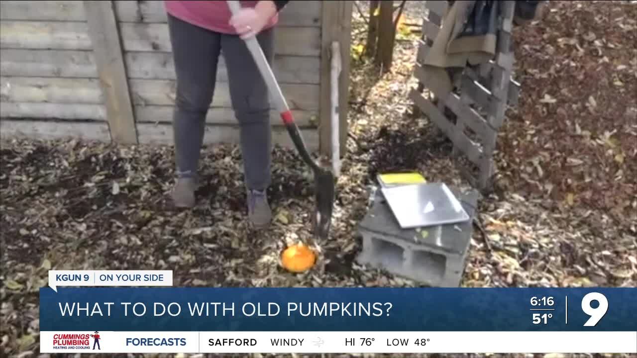 How to use your jack-o-lantern after Halloween