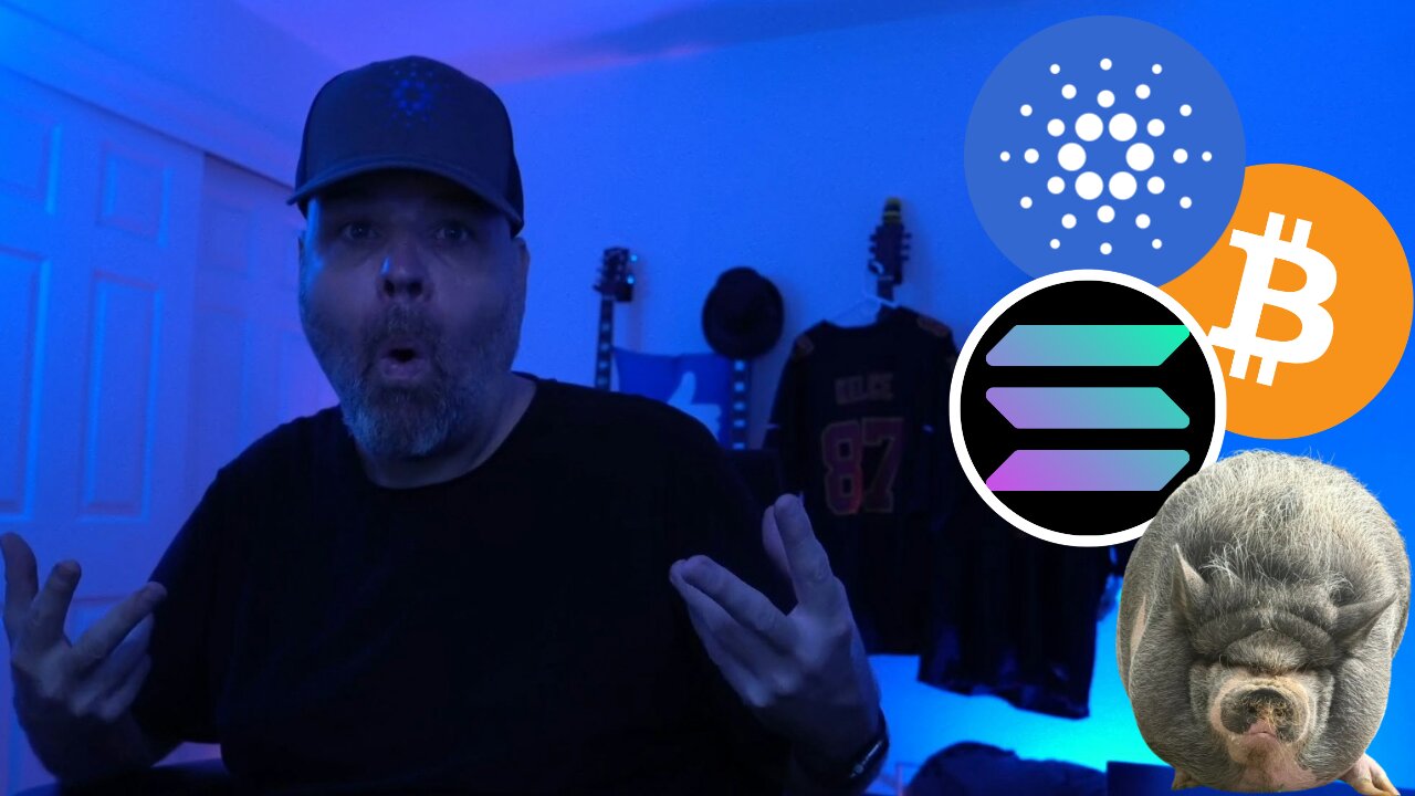 CARDANO and CHILL NIGHT STREAM!! He's a Good Pig! $NIKE