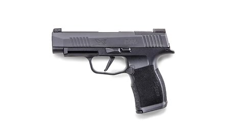 Range Time with the SIG P365 SAS Metamorphosis to SIG P365 XL #1291