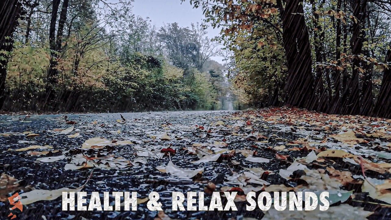 Rainy Day Retreat A Relaxing and Stress Relieving Escape 2