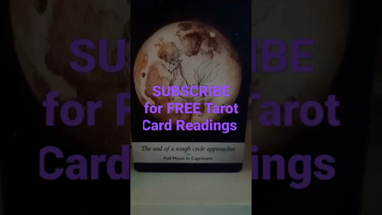 👉 ninathemystic.net 👈 #ninathemystic #freereading