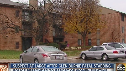 Killer remains at large after stabbing on Mountain Road in Anne Arundel County