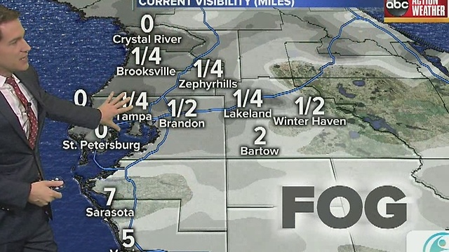 Fog in Tampa Bay area very dense