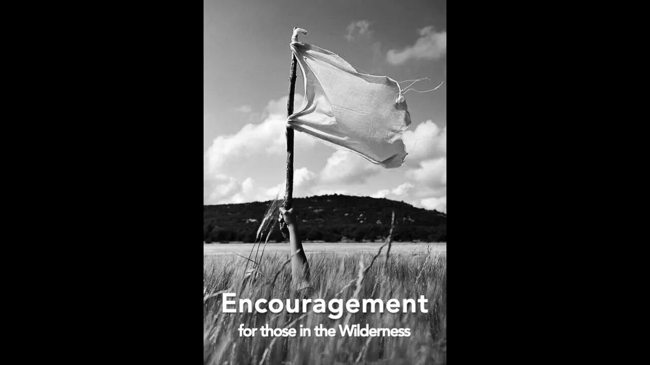 Loneliness | Encouragement when driven into the Wilderness