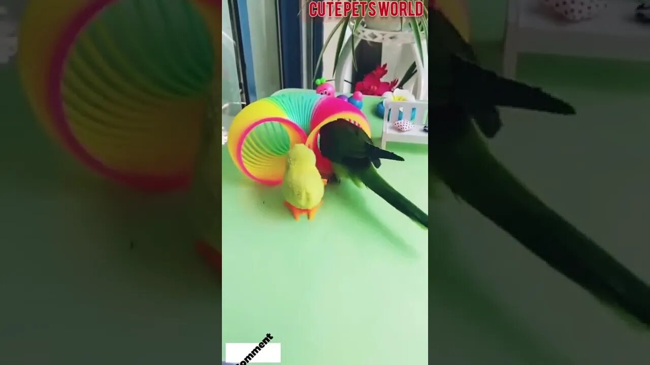 Best Oddly Satisfying Video for Stress Relief #Shorts #oddlysatisfying #relaxing #asmr(3)