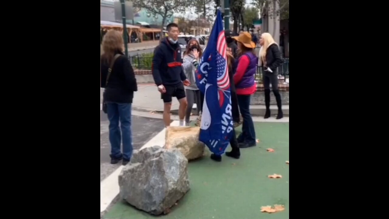 Original Activist Video