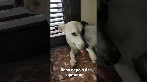 #baby aprontando
