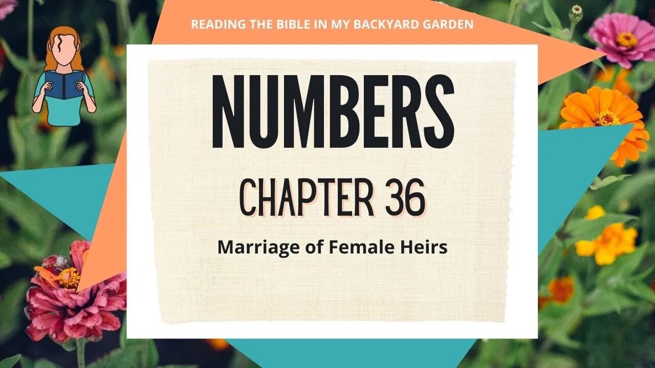 Numbers Chapter 36 | NRSV Bible Reading