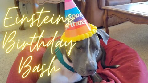 Einsteins Birthday Bash!!!!! My day as a 1 year old. #einsteinsbackyard