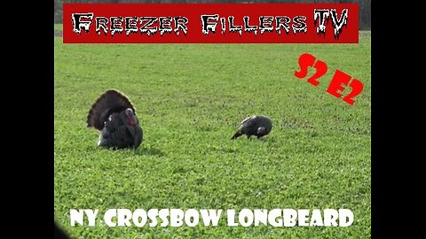 NY Crossbow Turkey Hunt! Slow Mo Kill Shot! S2E2