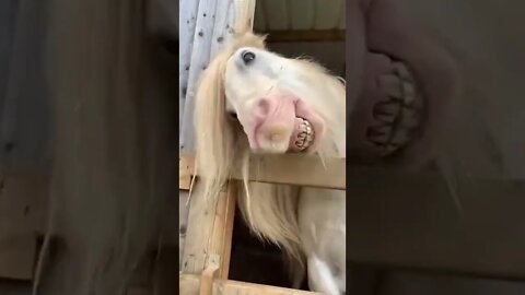 #trendingvideos #funnyvideos