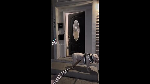 https://www.google.com/maps/place/196+Main+St,+Cohoes,+NY+12047 door house live 🚪always need