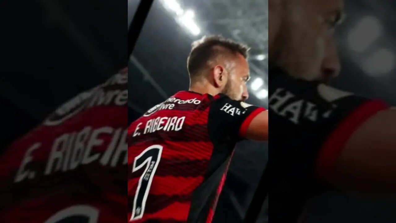 Flamengo bate botafogo com 1 gol de dirença e enconsta no lider #shorts