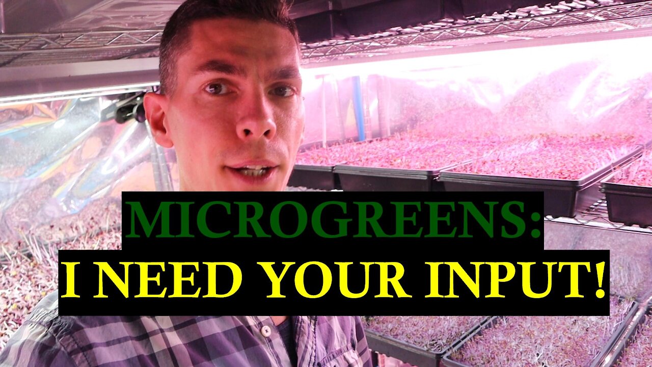 Microgreens: I Need Your Input!