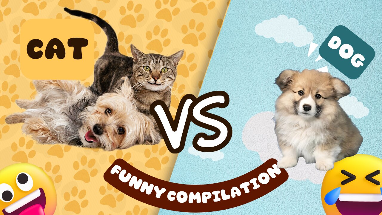 Cats Vs Dogs: Most Funniest Compilations