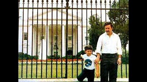 WHITE HOUSE CARTLE