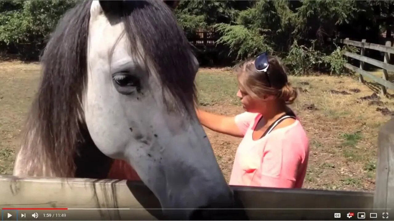 Horse Healer & Animal Communicator - Fact or Fiction? I Give My Opinion