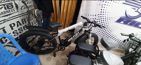 E bike