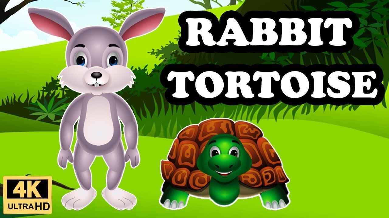 THE RABBIT AND THE TORTOISE 🐢 🐰