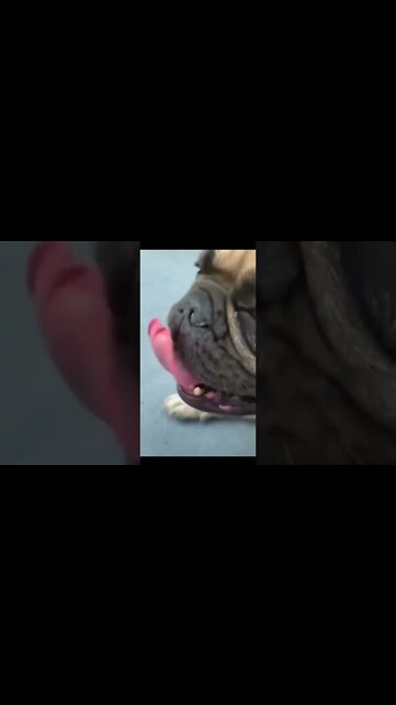 2023 New Tesla Car ....NO Electric, No Gas, Lightening Speed & Than than $ 2k, # short