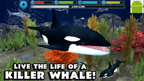 Orca Simulator - for Android