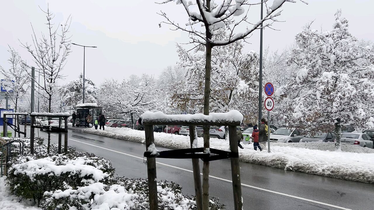 Fresh Snowfall on Buda Mountain