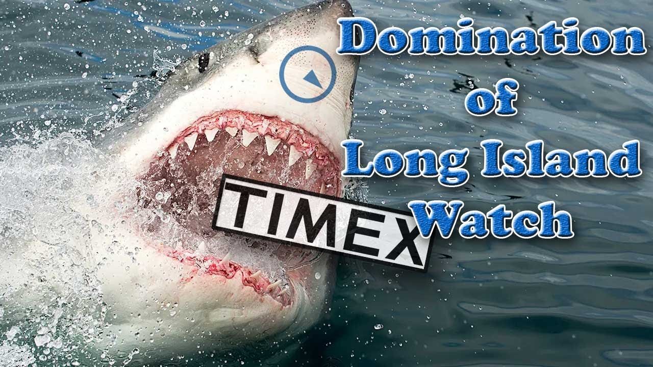 Domination of Long Island Watch: The Meteoric Rise of A Giant in The Making