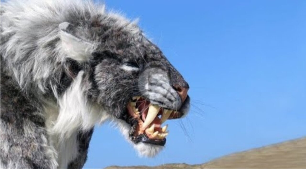 Most dangerous animals in the word(beast) 🌍