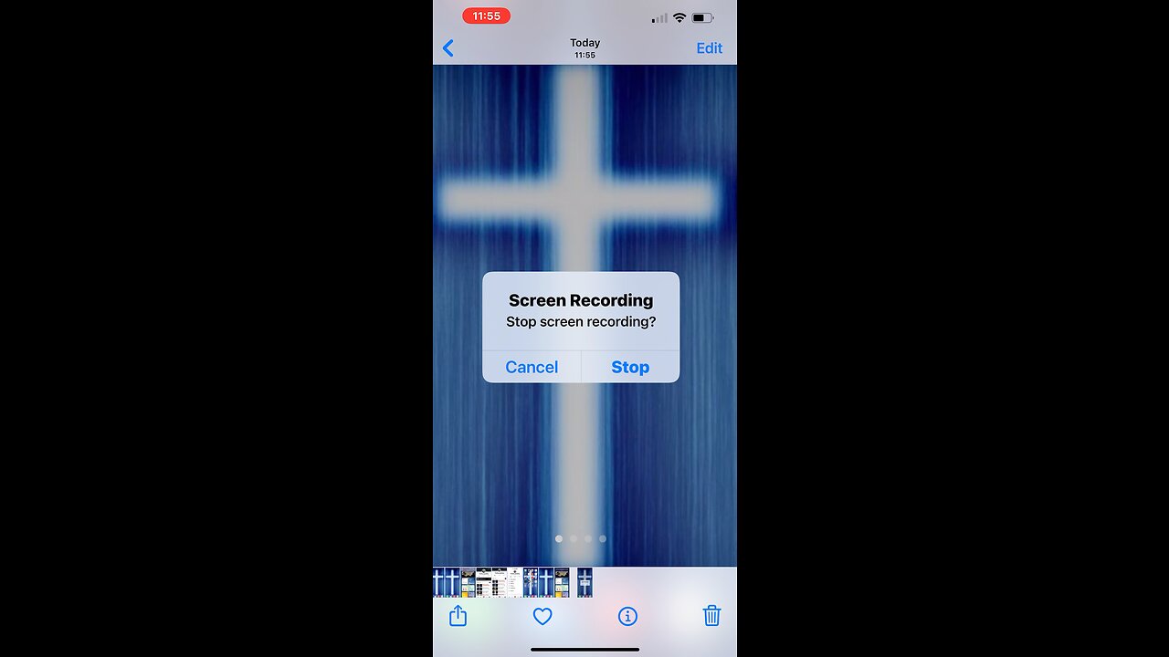 🥳🥳🥳🥳🦁🥳🥳🥳🥳