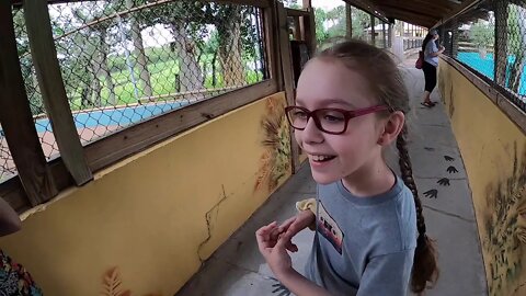 TheFamilyDoes Gatorama