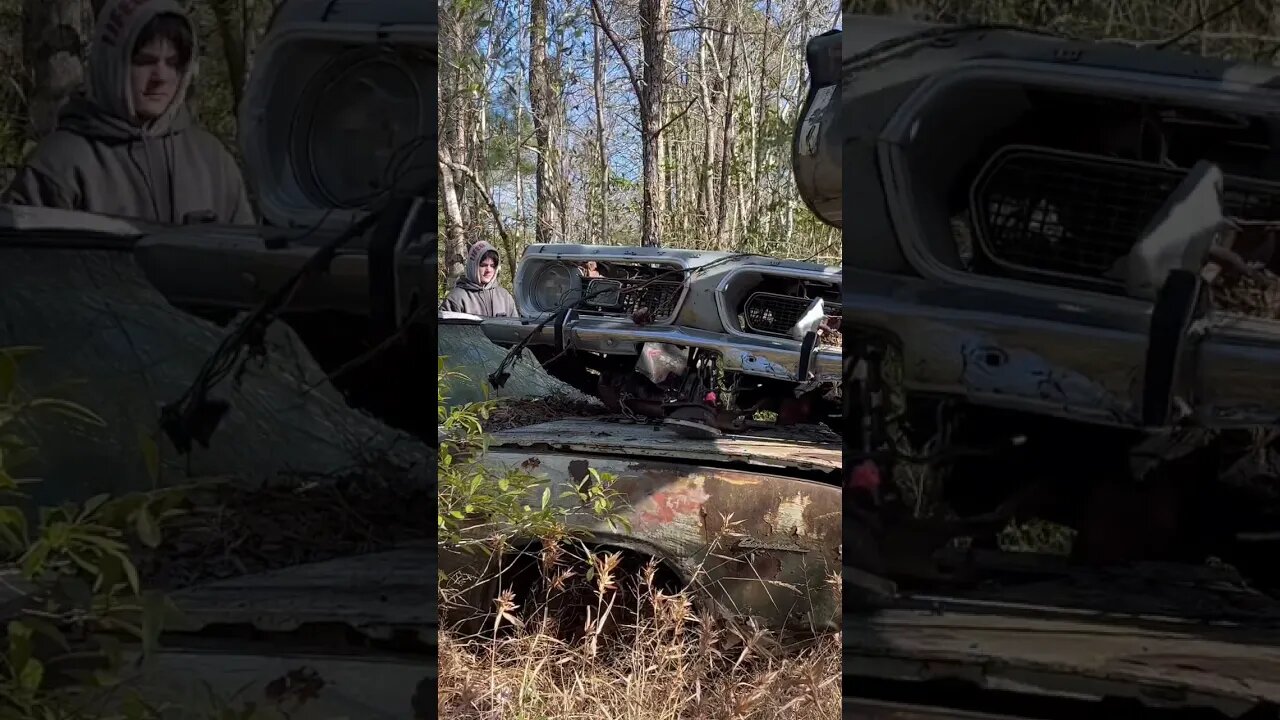 Pulling a 1967 Barracuda out of the woods….