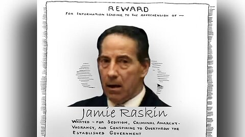 The Sedition Of Raskin The Traitor - INFOWARS Bowne Report