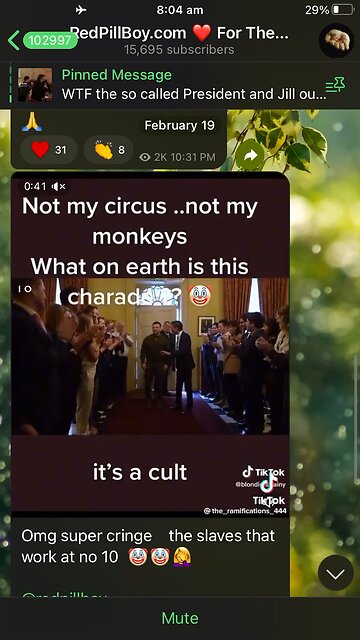 Rishi Sunak : Zelensky : greeted in London