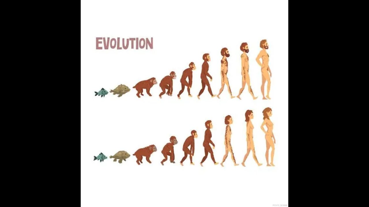 Women evolved the same way men did #StopSexism