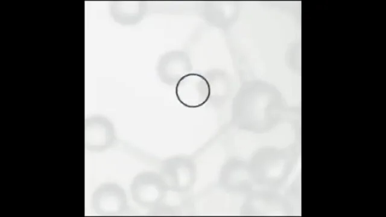where does flouride come from?
