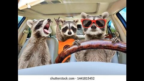 One of the Best funny animals video 😂😂🤭