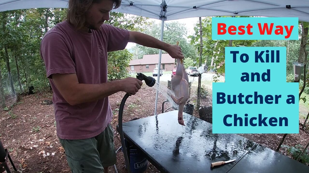 How to Butcher a Chicken