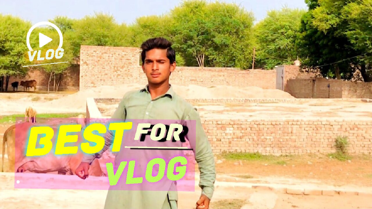 My first VLOG MUST WATCH VILLAGE LIFE