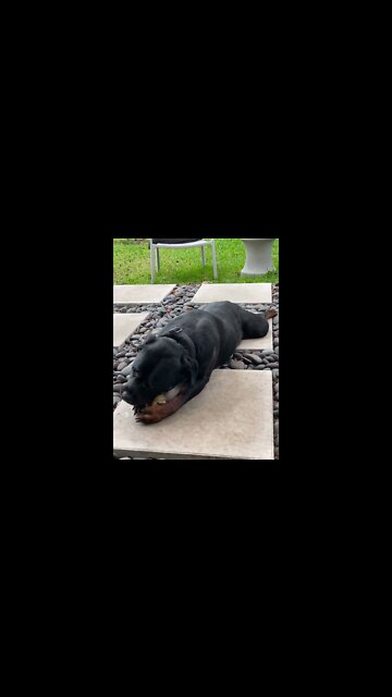 You better look away