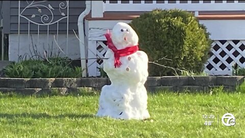 Snowman in Howell