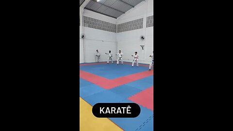 Nonoyama Karate Wado - Treinamento de Kihon