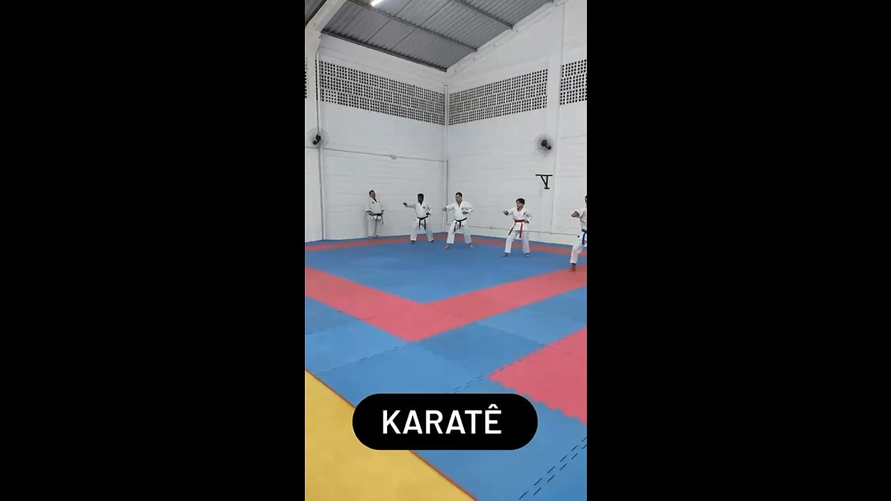 Nonoyama Karate Wado - Treinamento de Kihon