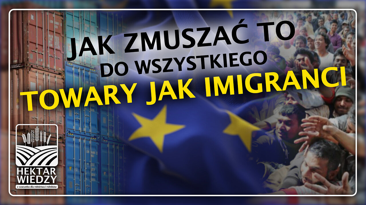 Towary Jak Imigranci❗️ Przymusowa relokacja towarów?