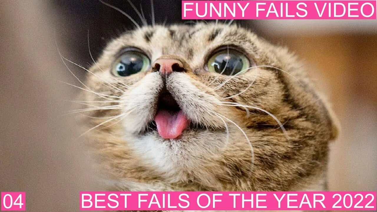 New Funny Videos 😂 Cutest People Doing Funny Things 04-2022