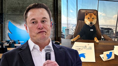 Elon Musk’s dog Floki poses as new ‘Twitter CEO