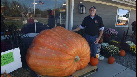 Wisconsin man grows one of largest pumpkins in the country at 2,064-pounds