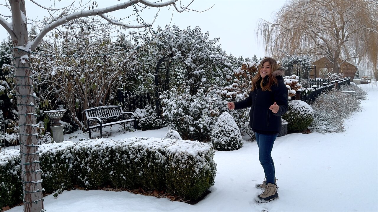 December Garden Tour- Our First Snow of the Season! ❄️🌲❄️