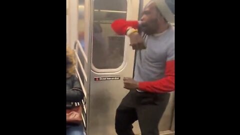 Another Dose Of NYC Subway Insanity